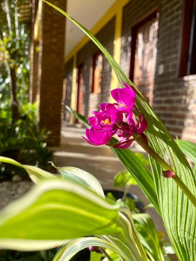 Pousada Aruana Porto Seguro Eksteriør bilde